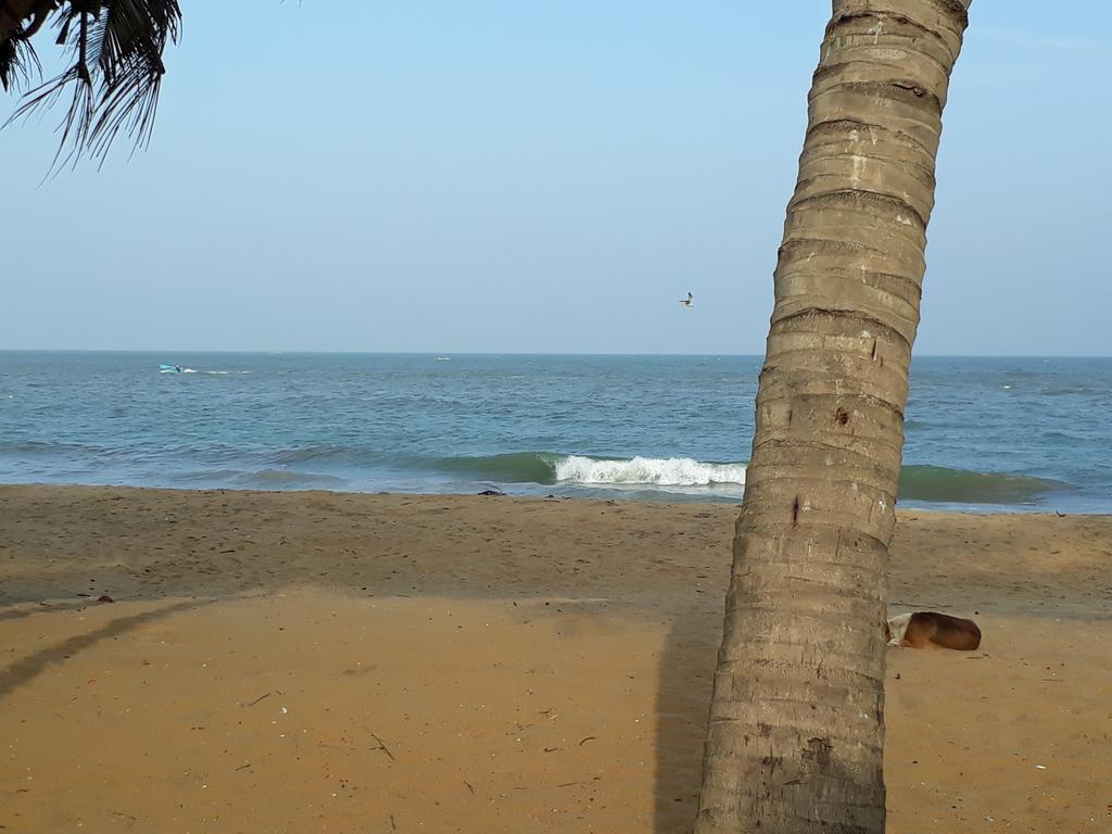 Anicia Beach House Negombo Extérieur photo